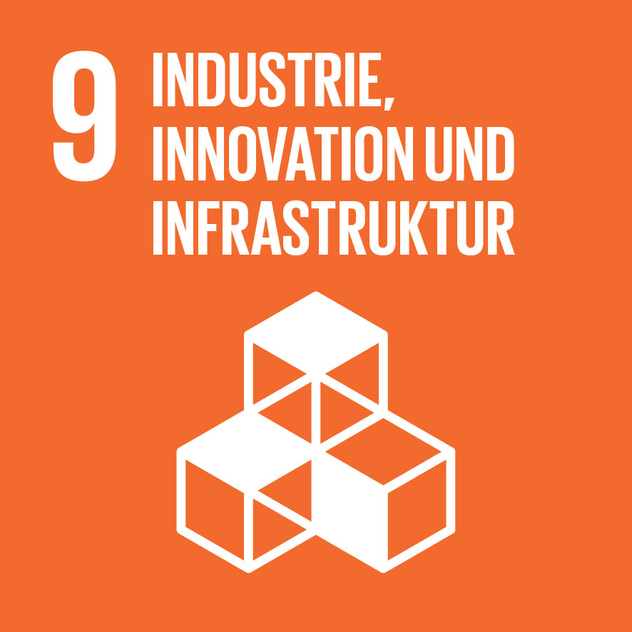 Industrie-Innovation und Infrastuktur