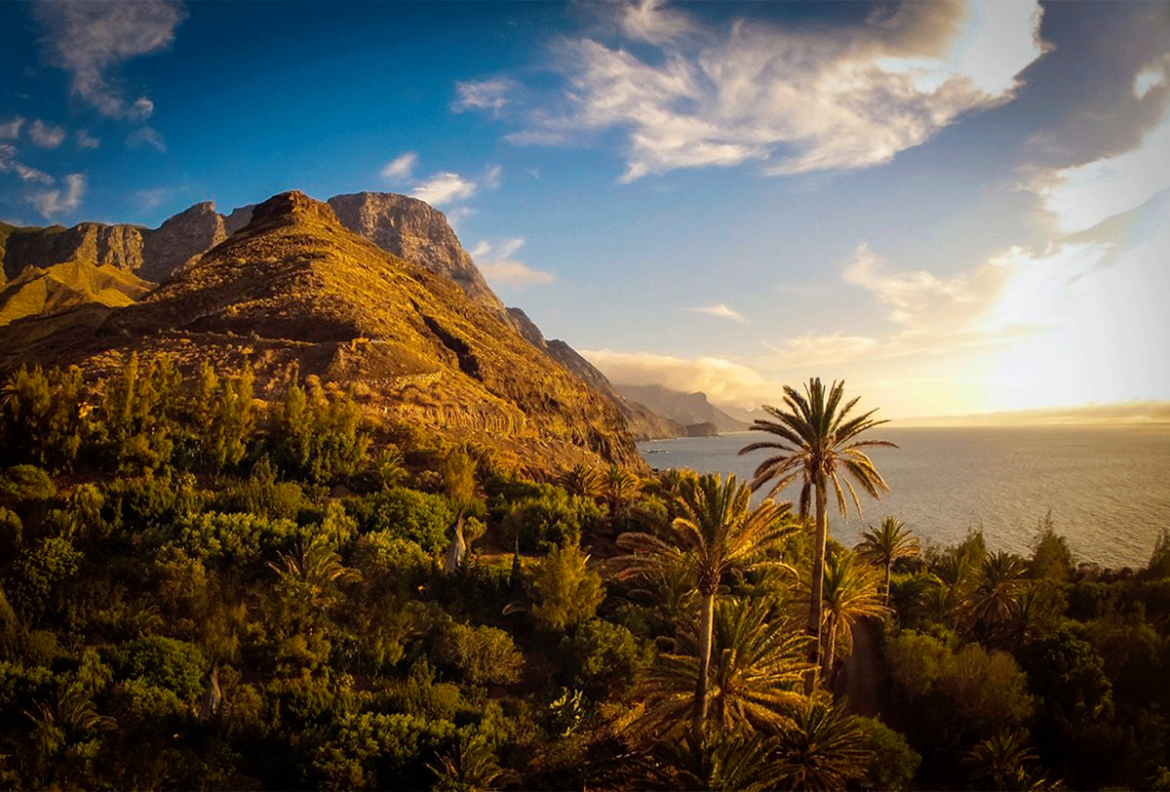 Gran Canaria Más Sostenible