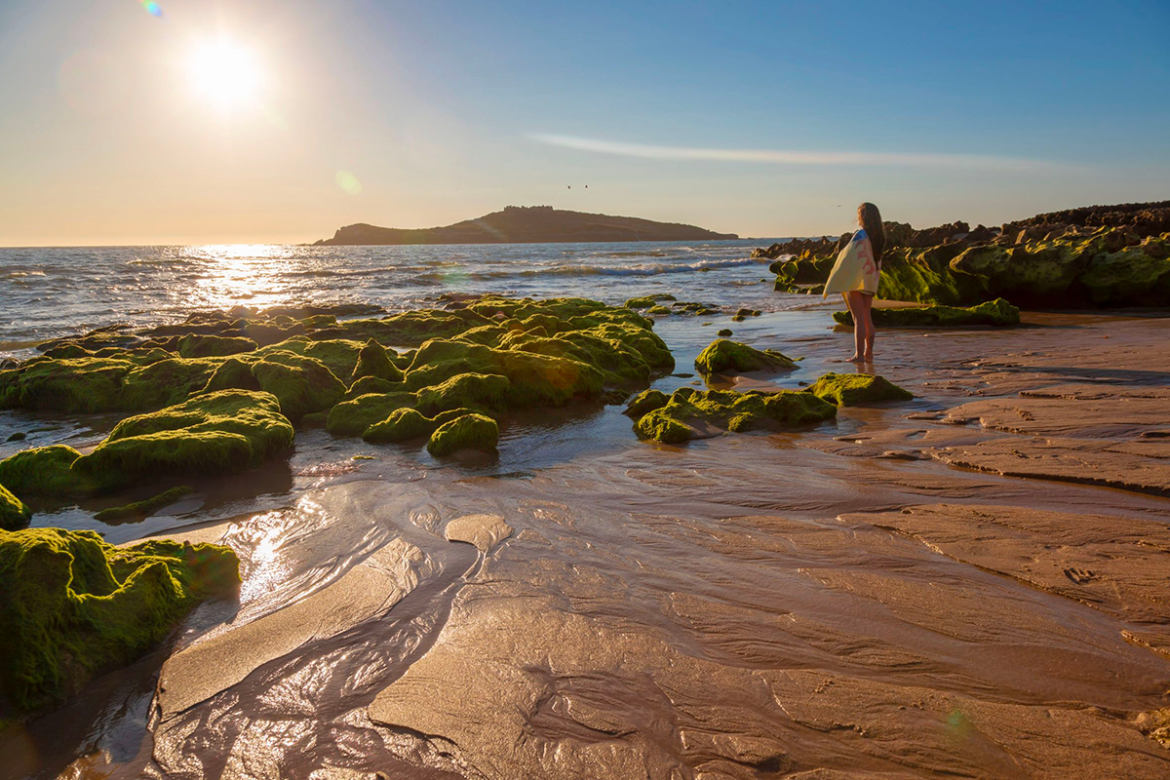 Aderir ao Biosphere Sustainable é fácil