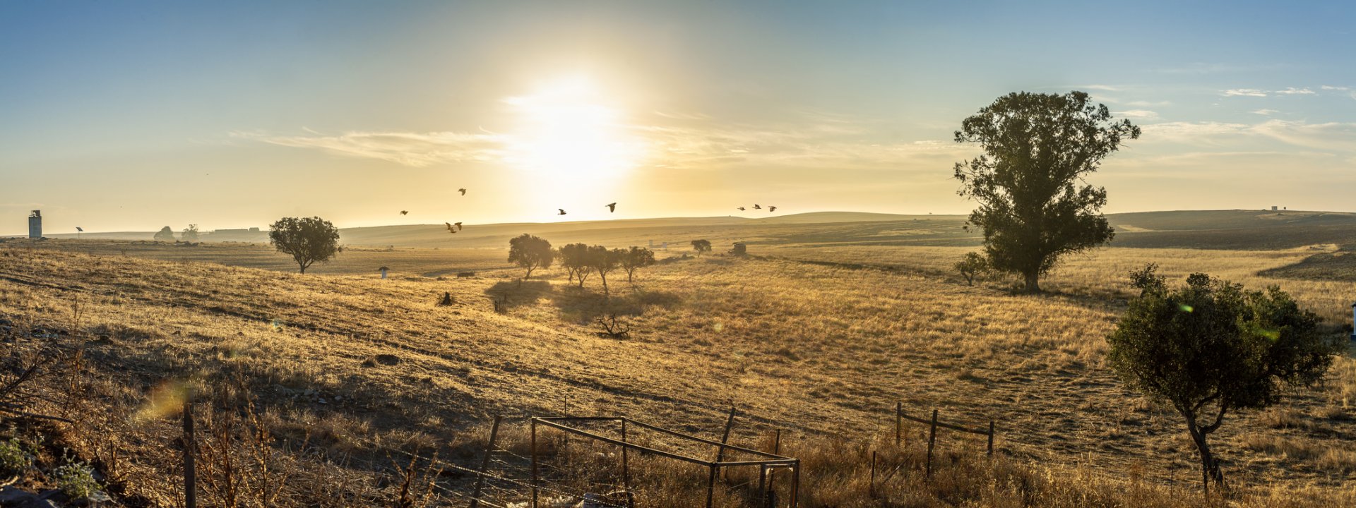 A revolução do turismo sustentável.