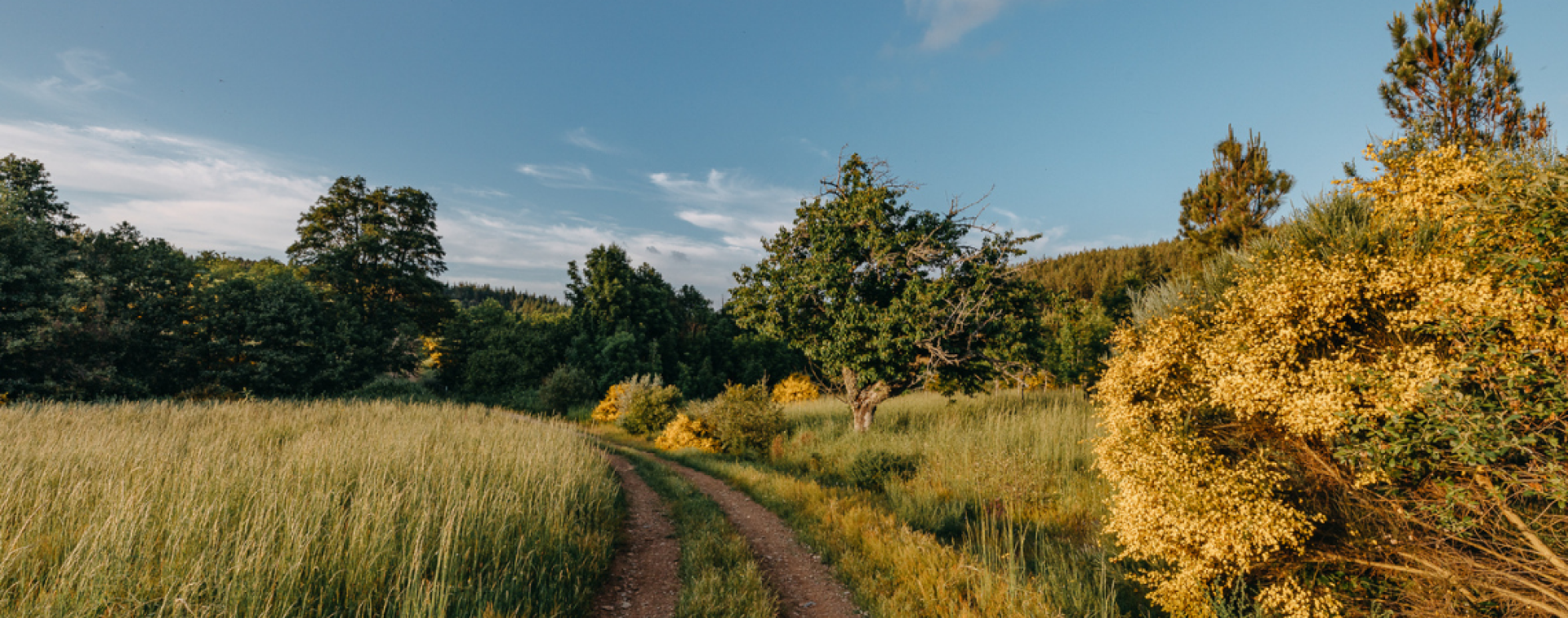 A revolu&ccedil;&atilde;o do turismo sustent&aacute;vel.