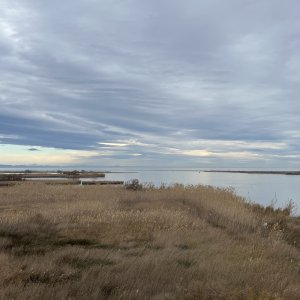 The Ebro Delta: a unique ecosystem on the brink of disappearance