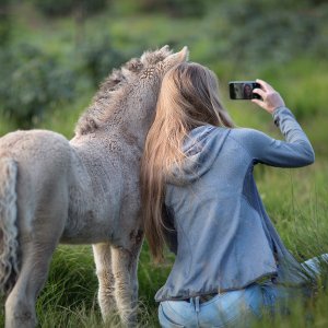 ¿Por qué no deberías hacerte fotos con animales salvajes?