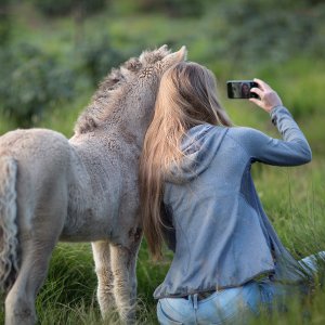 ¿Por qué no deberías hacerte fotos con animales salvajes?