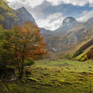 Nature, culture, and sustainability in the heart of the Pyrenees and the Lands of Lleida