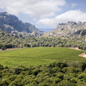 Escorca: Sport for Conserving the Territory
