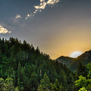 5 Consejos para una escapada rural más sostenible