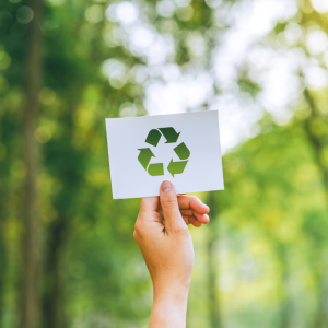 Sustainability, sustentability, ecology, and environmentalism: synonyms or entirely different terms?