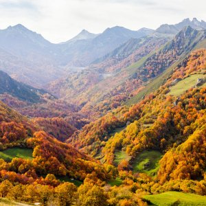 Cómo compensar tu huella de carbono cuando viajas