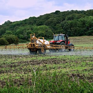 Do the foods I eat contain pesticides?