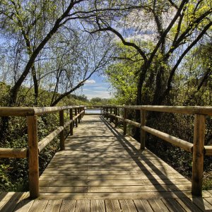 Los planes viajeros más sostenibles en Huelva