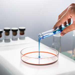 Five women scientists from five continents who have combated malnutrition