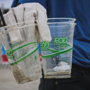 El "ecopostureo": Plántale cara al greenwashing