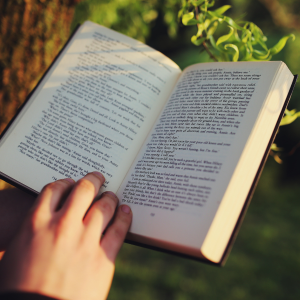 3 Literary routes in Barcelona to experience the city like a fairytale character
