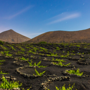 5 planes diferentes en Lanzarote