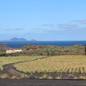 How to grow organic crops on an island like Lanzarote