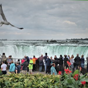 Overtourism: qué es y cómo afecta a tus vacaciones