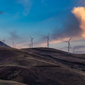 Conscious actions for a more sustainable planet