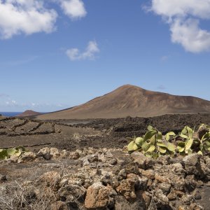 Volunteering in Lanzarote: the continuity of César Manrique's legacy