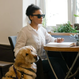 Traveling with a guide dog: the experience of blind people