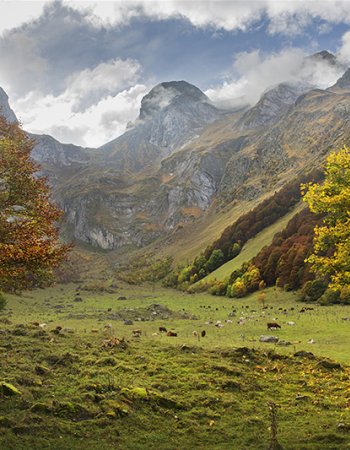 Pirineos Barcelona