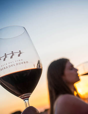Ruta del Vino Ribera del Duero