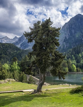 El Pirineo y las Tierras de Lleida