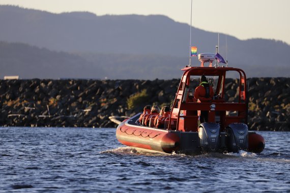 Campbell River Whale Watching and Adventure Tours