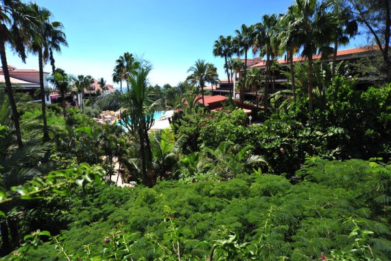 Hotel Parque Tropical