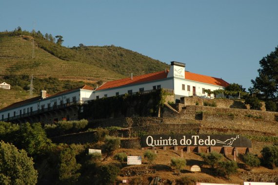 Quinta do Tedo