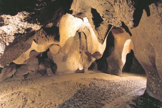 Museu de Moià-Parc Prehistòric de les Coves del Toll