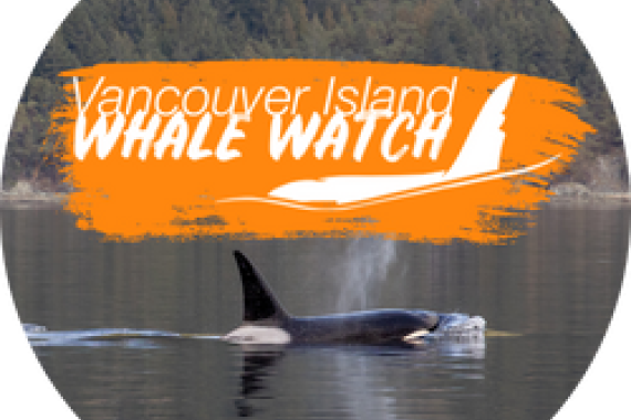 Vancouver Island Whale Watch