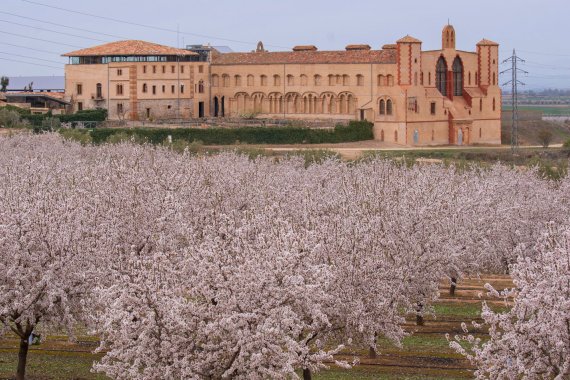 Mas de Colom - Casa Borges