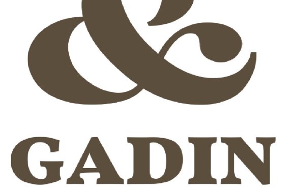 Gadin