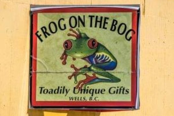 Frog on The Bog Gifts