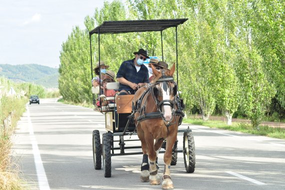 Fundació privada Sigea