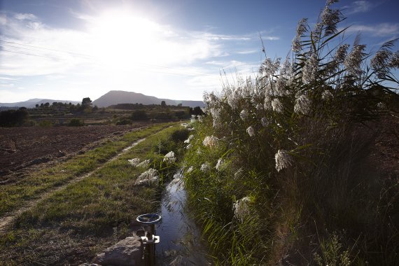 Parc de la Séquia