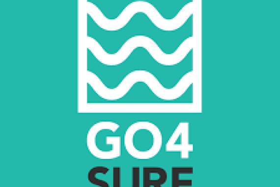 Go4 Surf