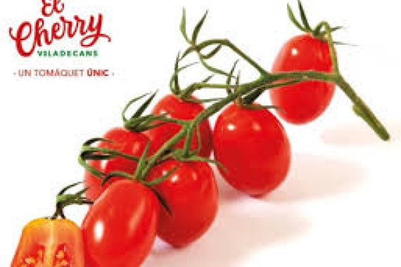 GREMI D'HOSTALERIA DE VILADECANS