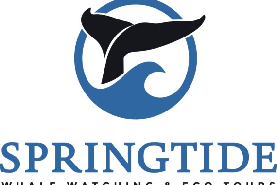 SpringTide Whale Watching & EcoTours