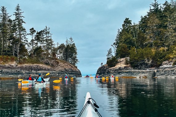 North Island Kayak