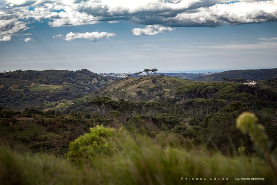 Tapada Nacional de Mafra