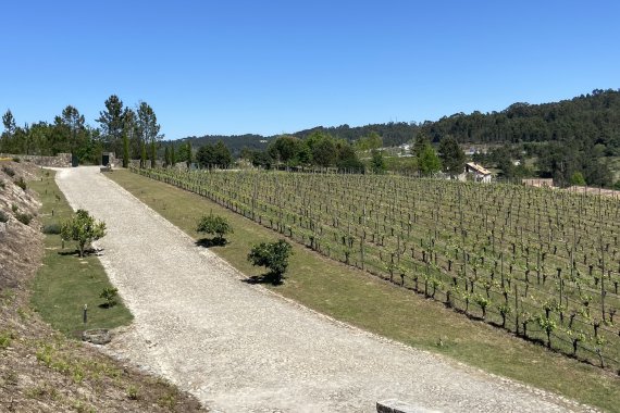 QUINTA DO MEDRONHEIRO - Hotel Rural