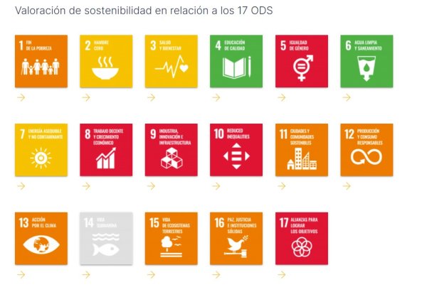 Comunica els teus assoliments de l'Agenda 2030 públicament.