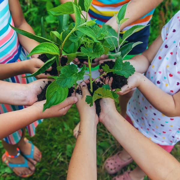 Educational adventure in Barcelona and sustainable school experiences in nature