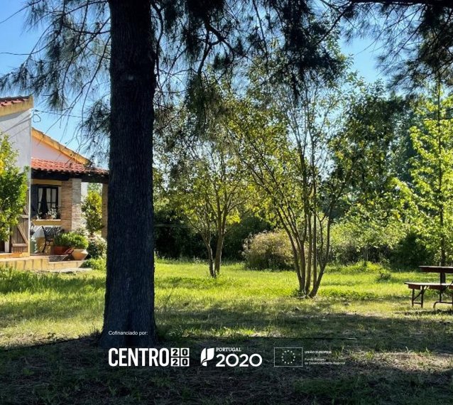 Quinta dos Trevos - Turismo em Espaço Rural - Artes e Ofícios