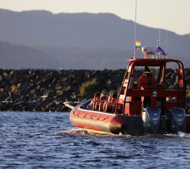 Campbell River Whale Watching and Adventure Tours