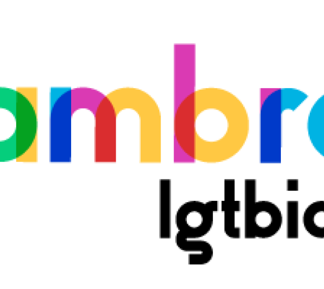 CAMBRA LGTBIQ+