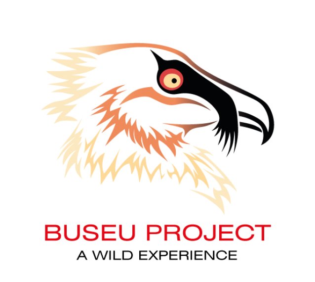 BUSEU PROJECT