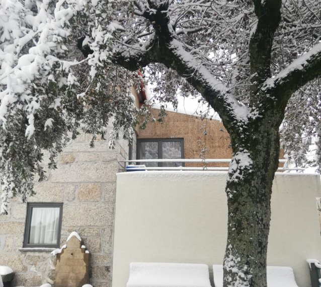 Sambuc'asa - Serra da Estrela